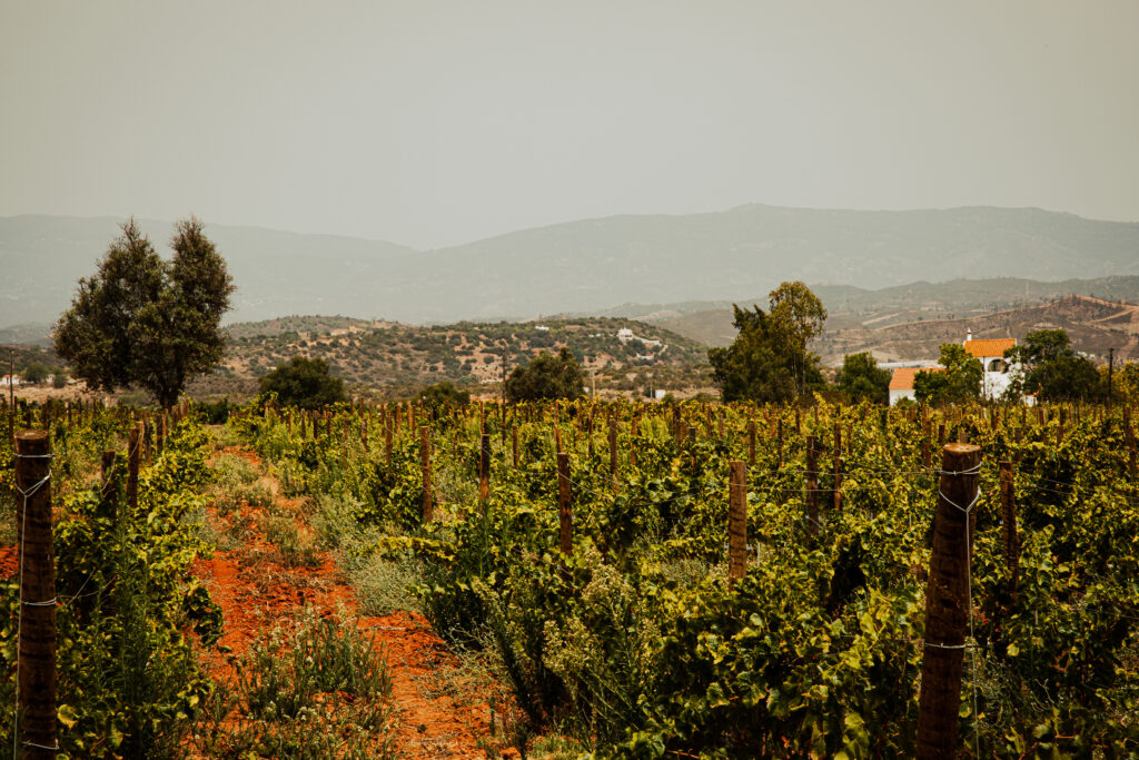 Algarve Landschaft